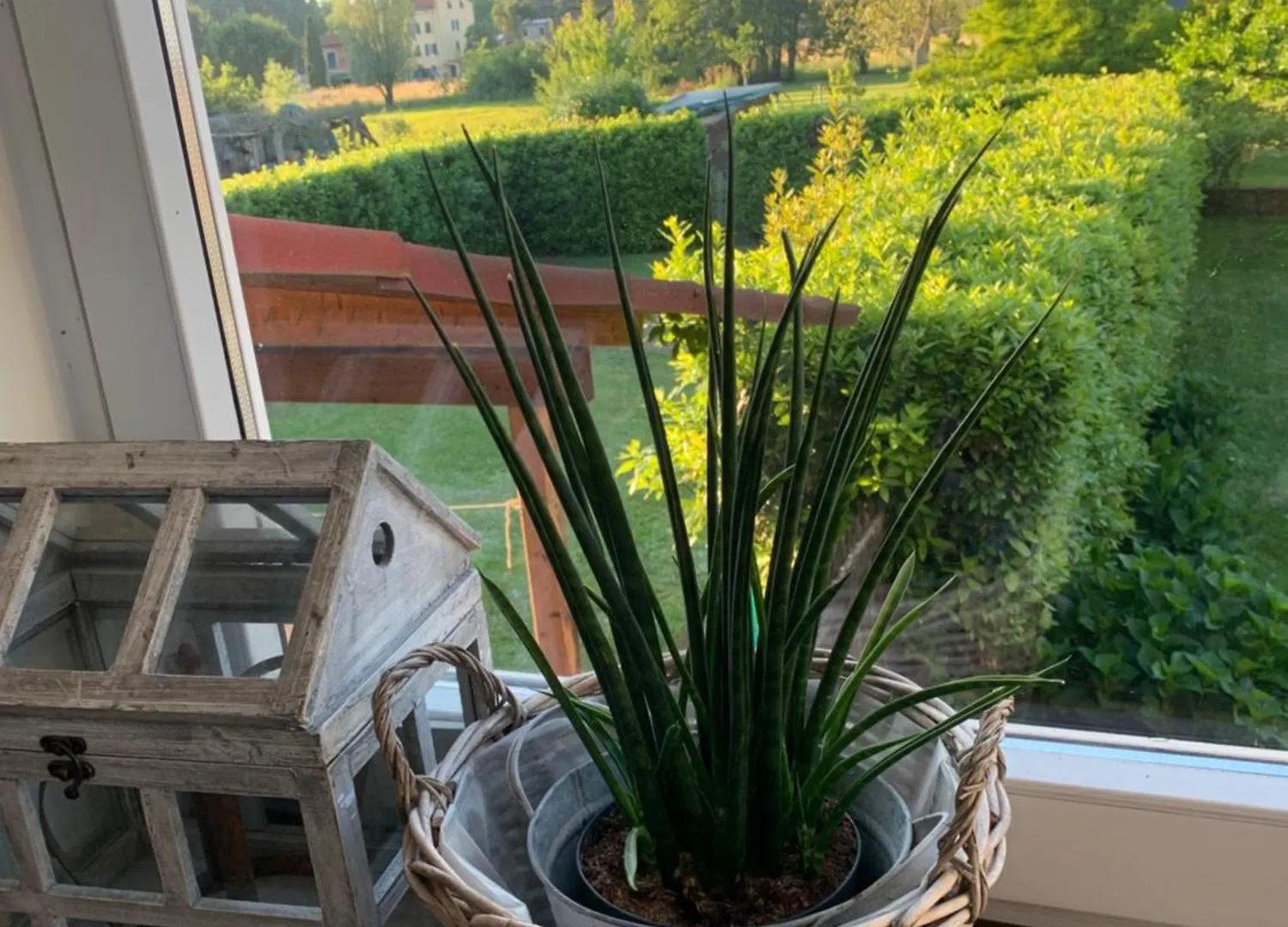 펜션 La Casina Di Verciano 루카